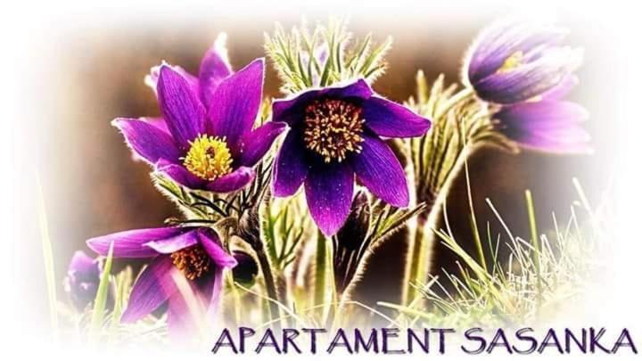 Apartament Sasanka Ковари Екстер'єр фото